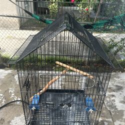 Bird Cage 