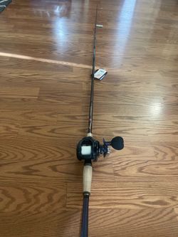 Daiwa baitcaster