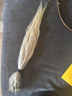 Extensiones