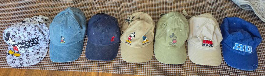 [Read Description] Disney and knotts hat(s)