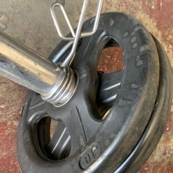 4ft  Olímpico EZ Curl Barbell With Shapeds
