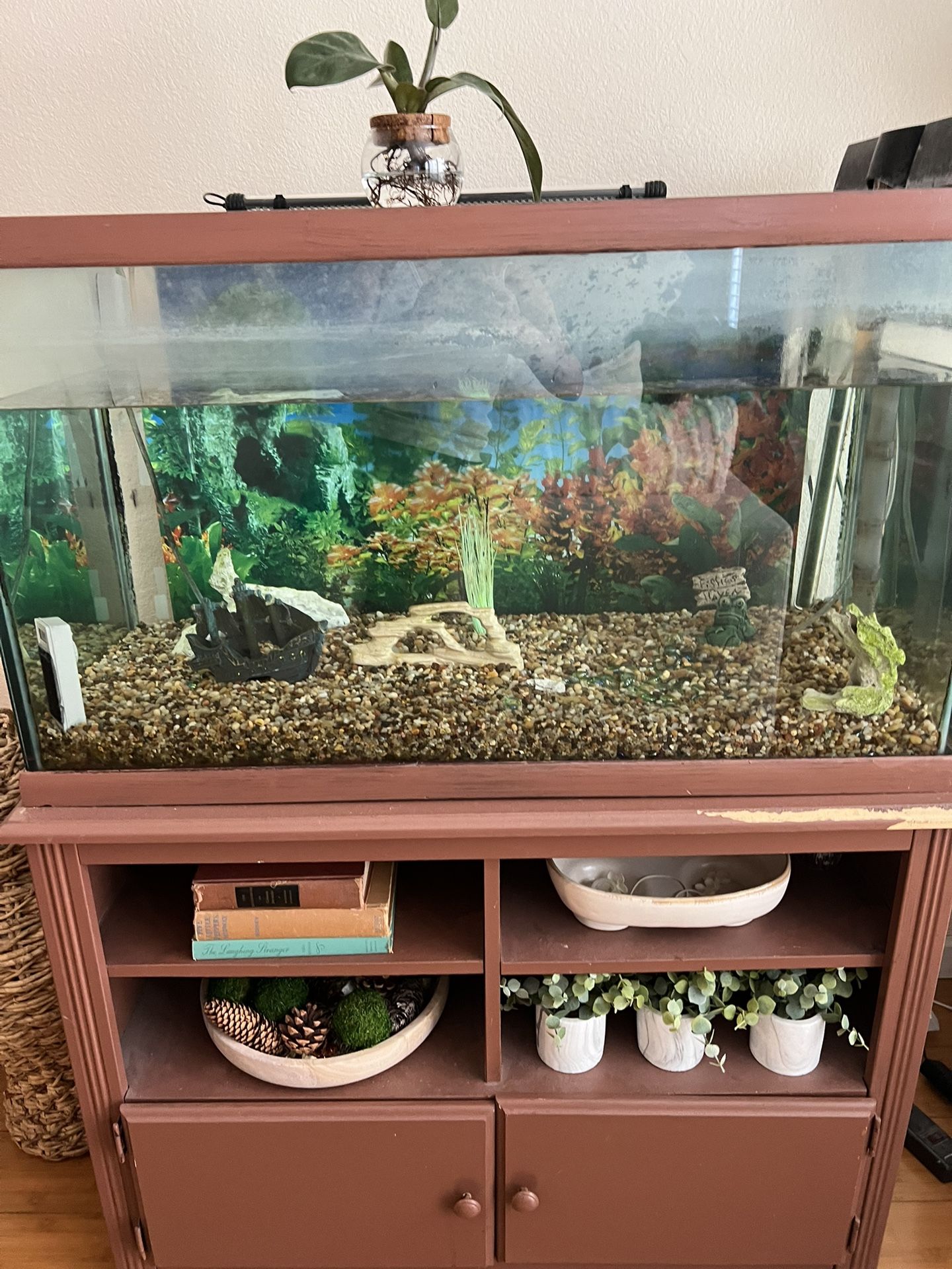 FREE- 50 gallons Aquarium And Cabinet