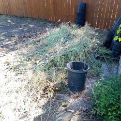 Land Scaping
