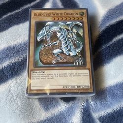 Yugioh Saga Of The Blue Eyes, White Dragon