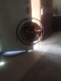 Dream catcher