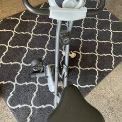 Stamina Bike (Indoor)