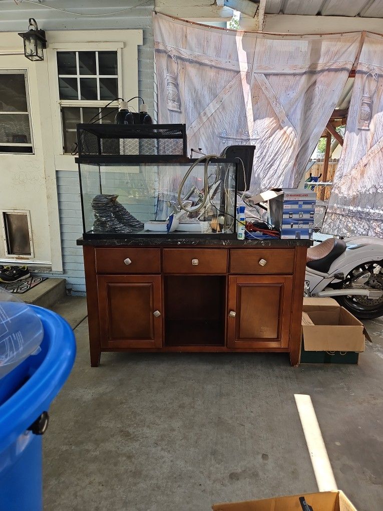 Reptile Fish Tank Set Up
