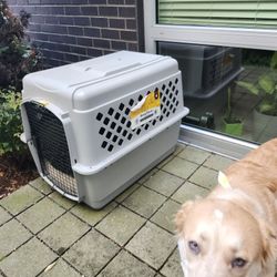 Dog Crate 