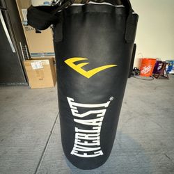 EVERLAST PUNCHING BAG 
