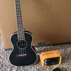 Ellen Guitar