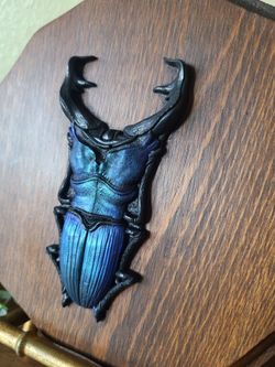 Faux Moulded Stag Beetle On Hanging Plaque
