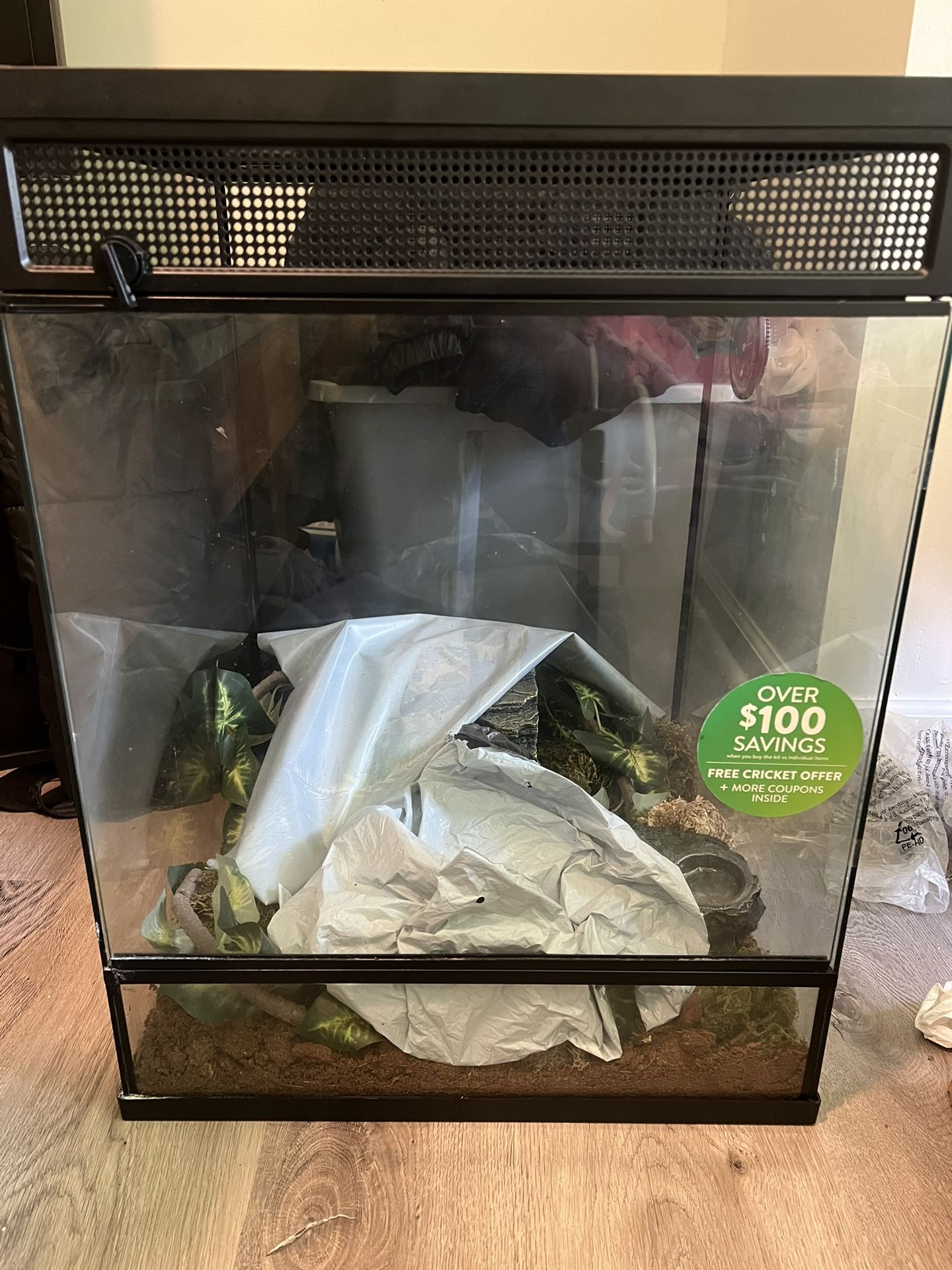 Lizard Tank
