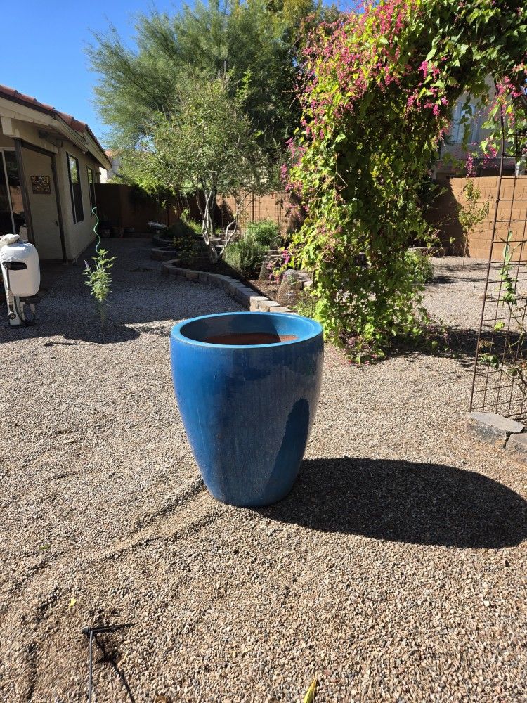 Plant & Pot
