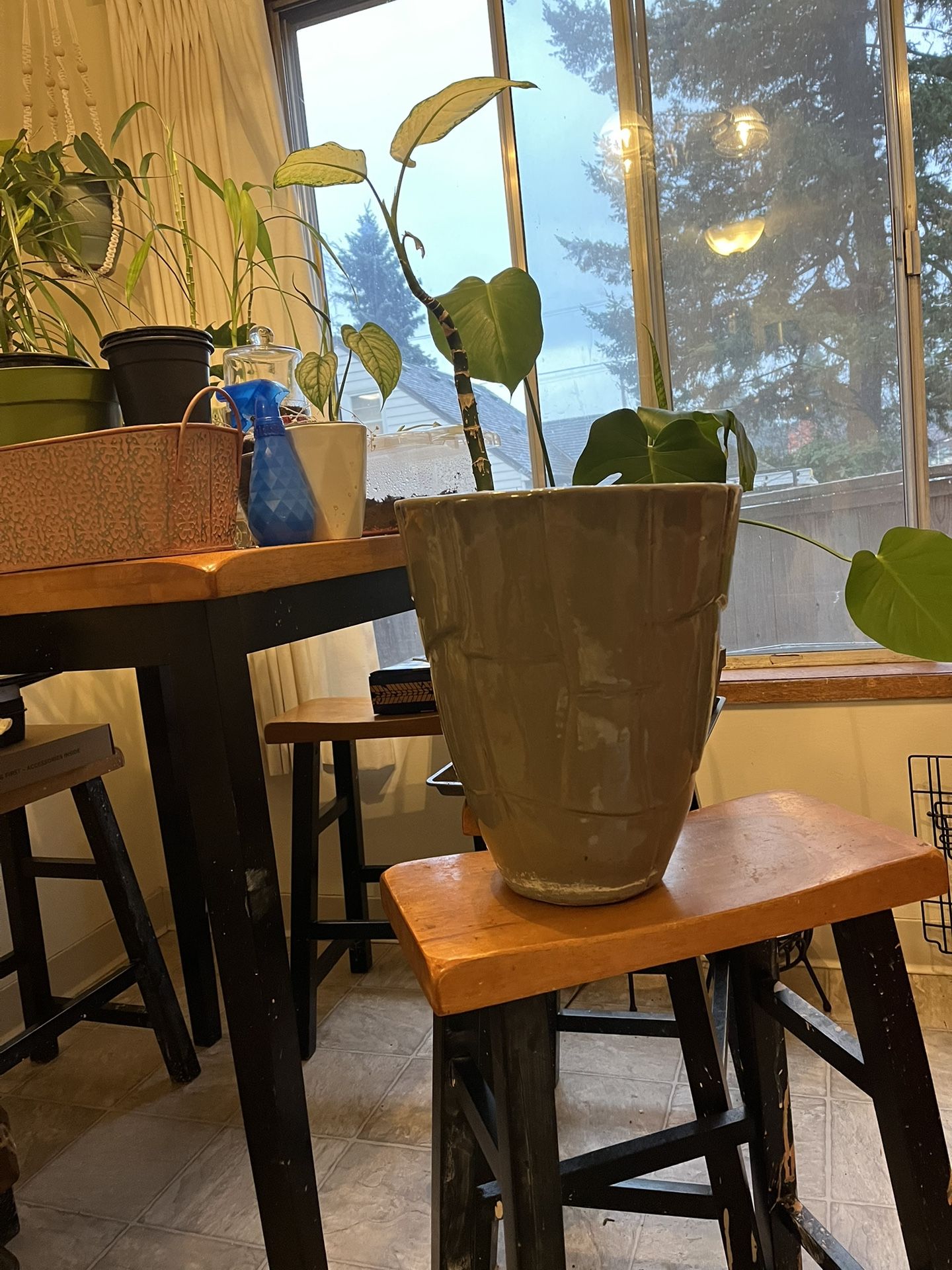 Beautiful Tall Plant Pot