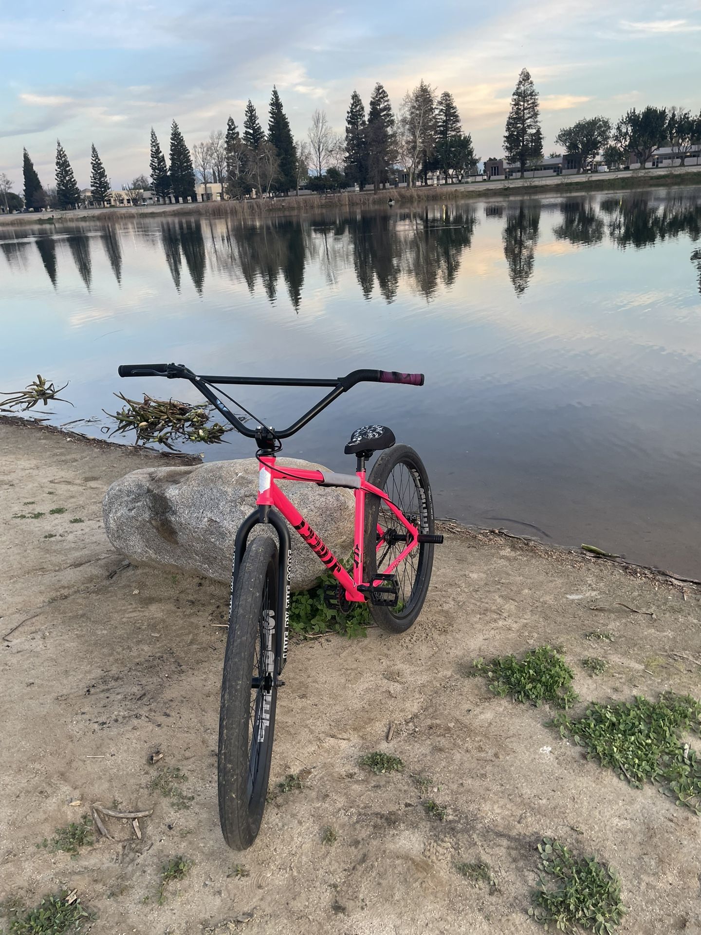 Pink Street Co 29er