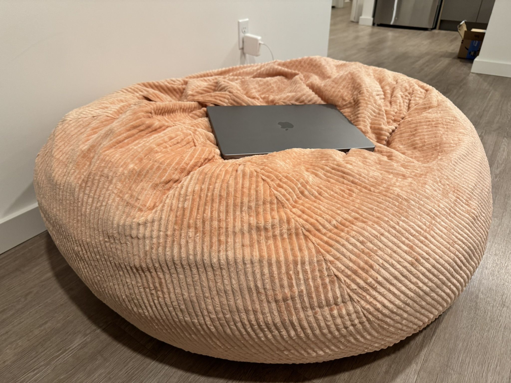Bean Bag Chairs (faux fur)