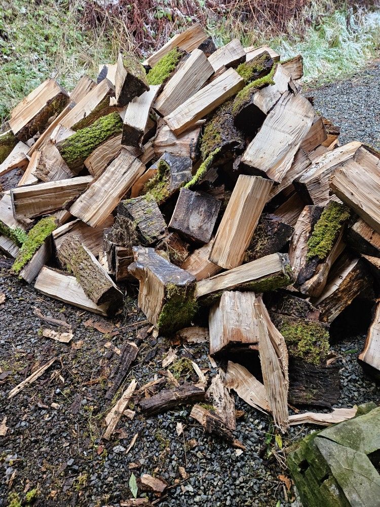 Firewood