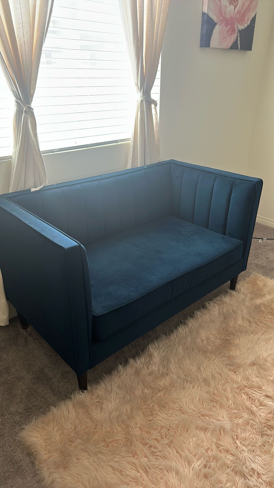Blue Small Sofa Couch