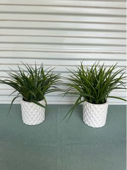 Pair Artificial Decor plants - Model home decor