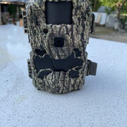Deer Trail Camera