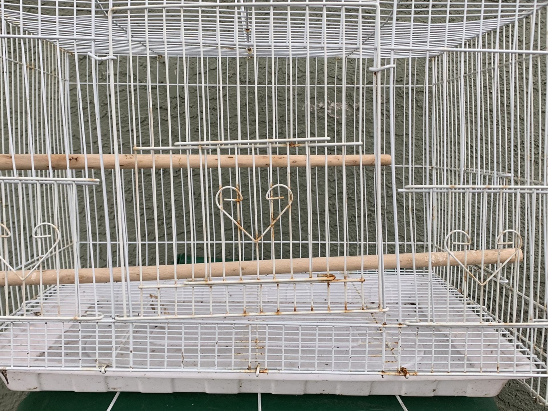 Bird Cage