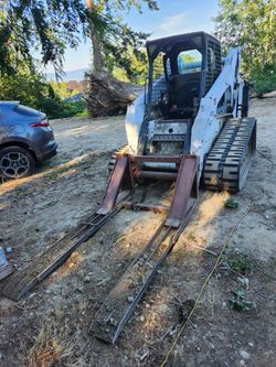 Bobcat