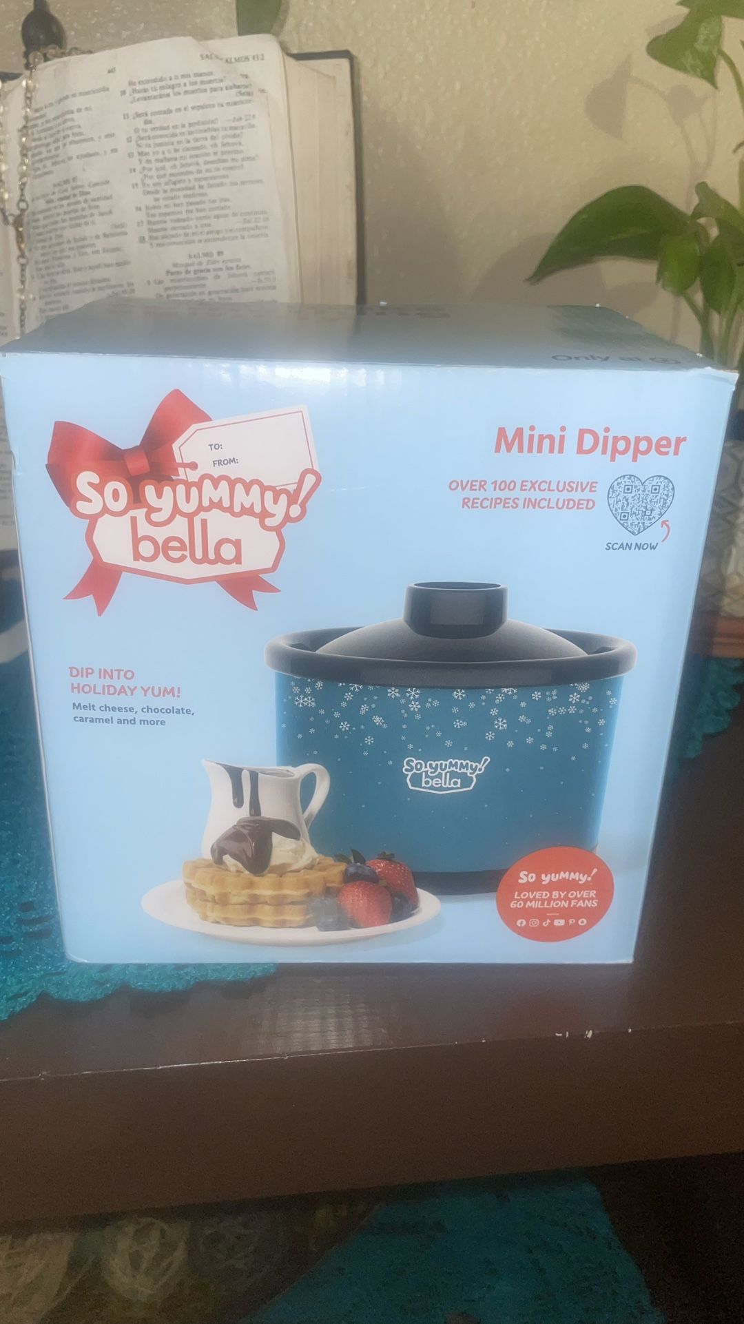 New Mini Dipper
