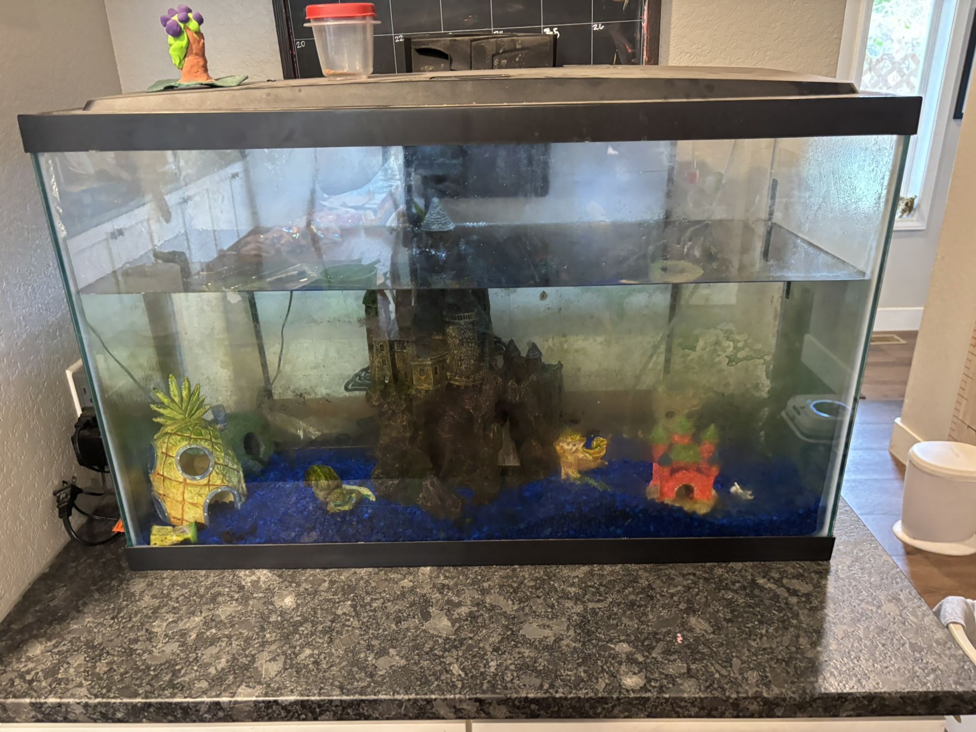 Aquarium