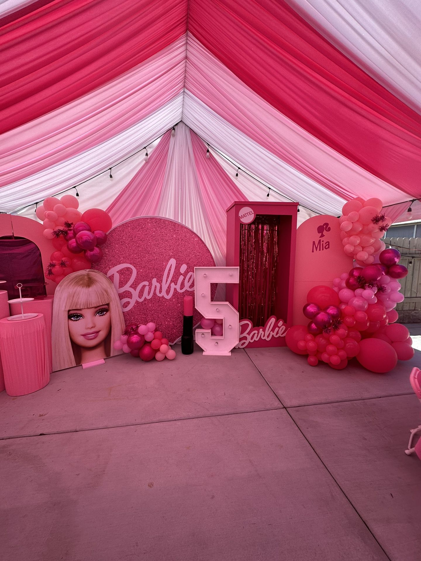 Barbie Party Decor 