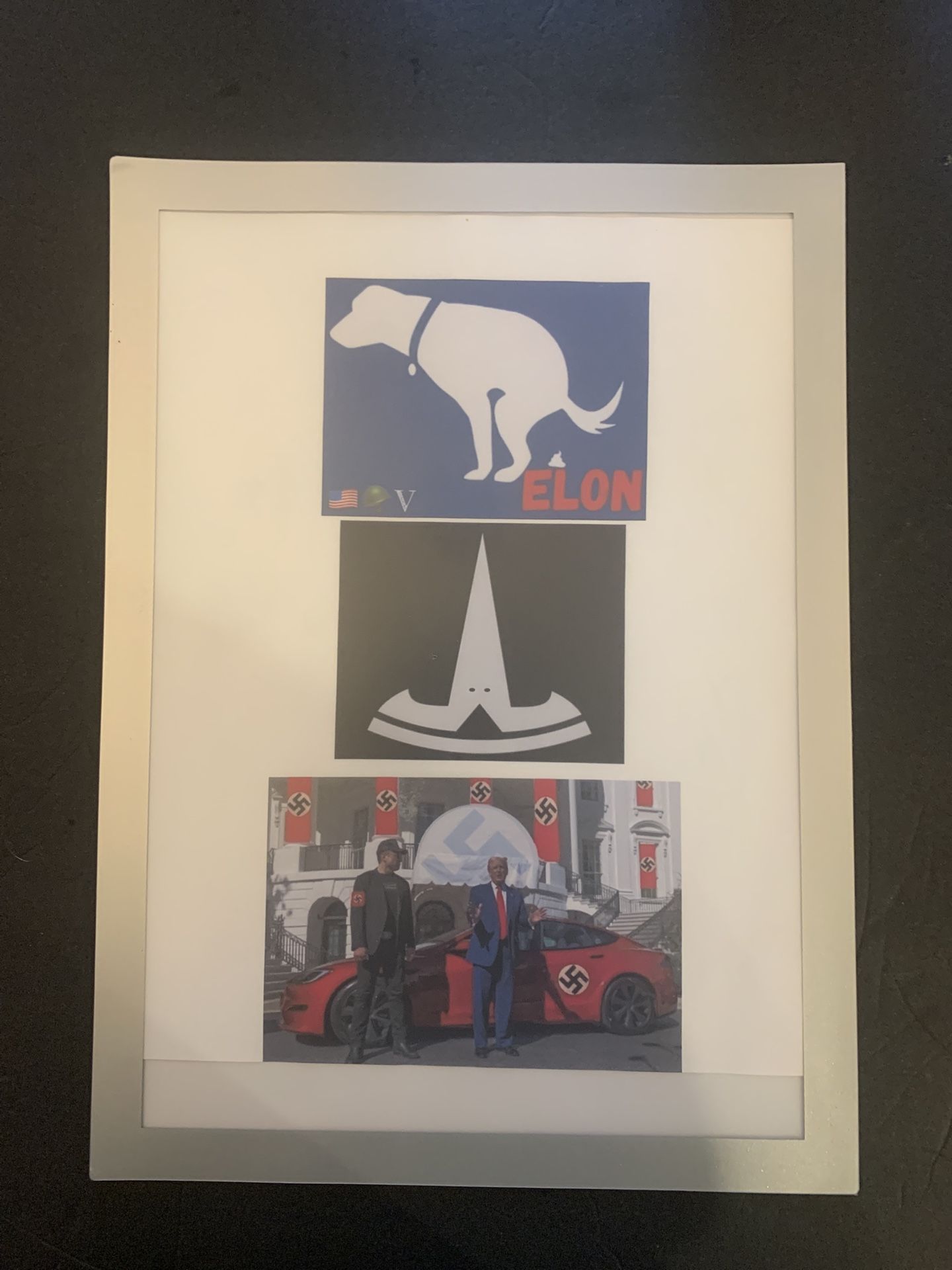 Anti-Elon musk, political sign