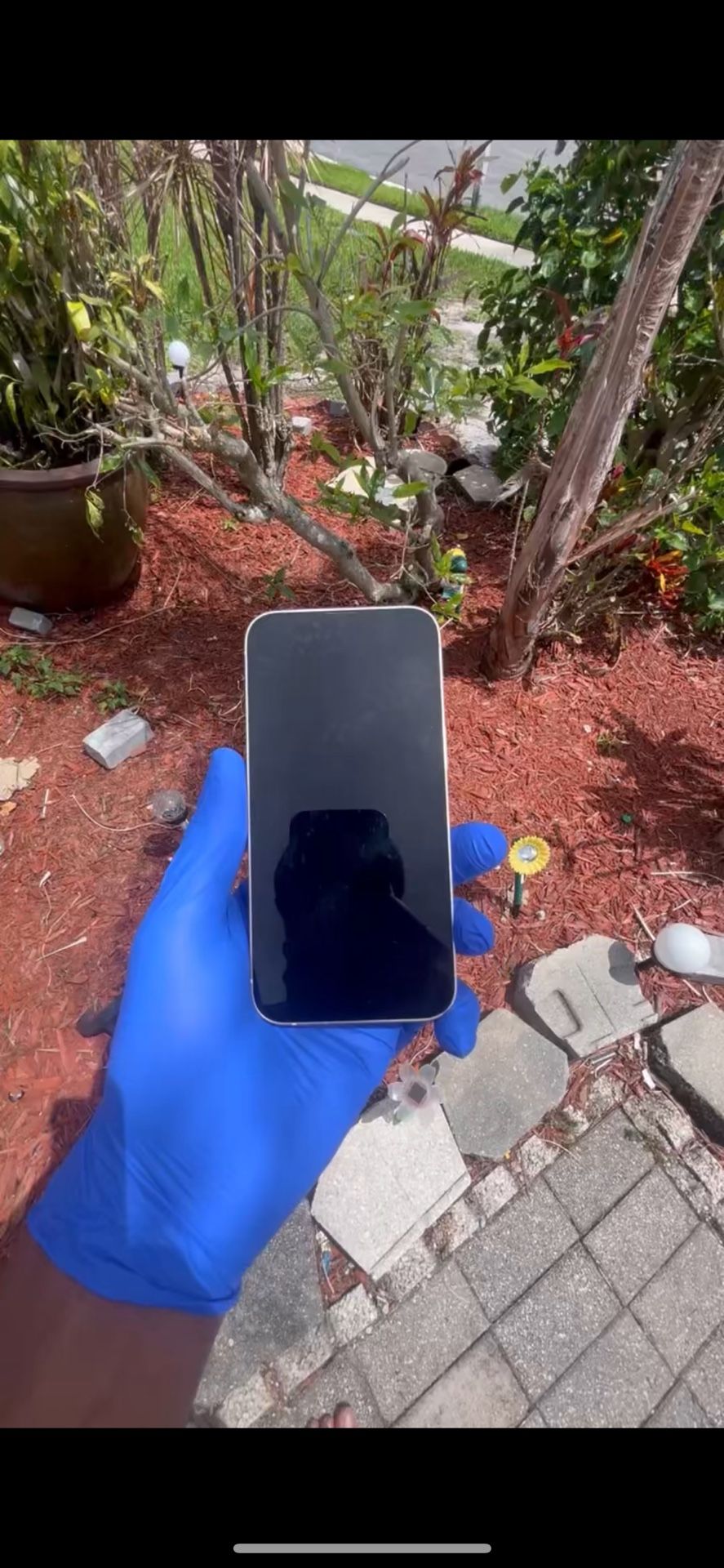 iPhone 13 Pink