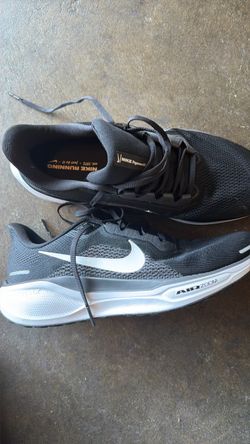 Nike Air Zoom Pegasus 41 size 10
