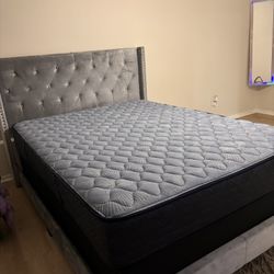Bed Frame + Mattress + Box spring
