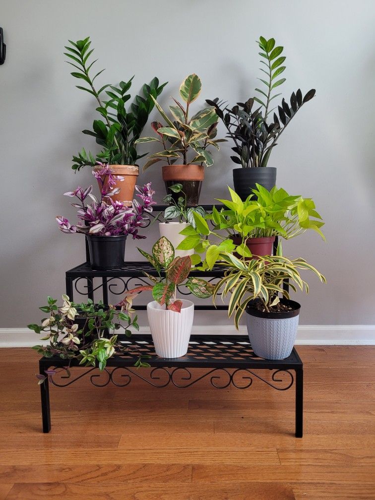 3 Step Plant Stand