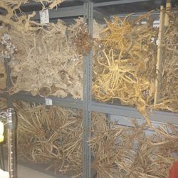 Aquarium Fish Tank Driftwood 