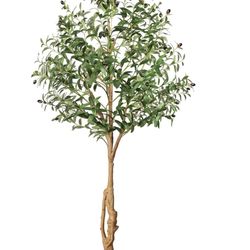 Artificial Olive Trees 6ft, Faux Faux Olive Tree Indoor with Realistic Tall Fake Plant Tree Trunk and Fruits,Olive Branches Silk Plants for Home Room 