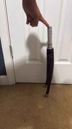 Carbon fork