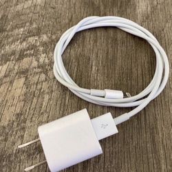Original Apple Charger