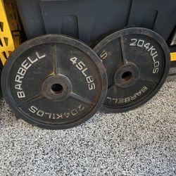 Two barbell standard Olympic Weight Plates 45lbs