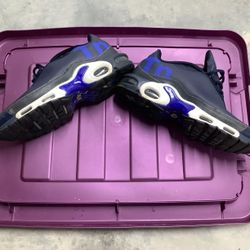 Men’s Nike TN Air Maxes Size 9