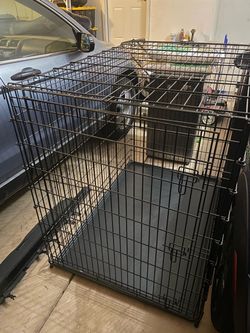 XXL Crate