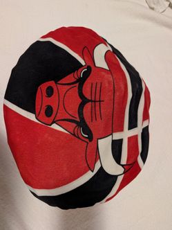 Chicago bulls pillow