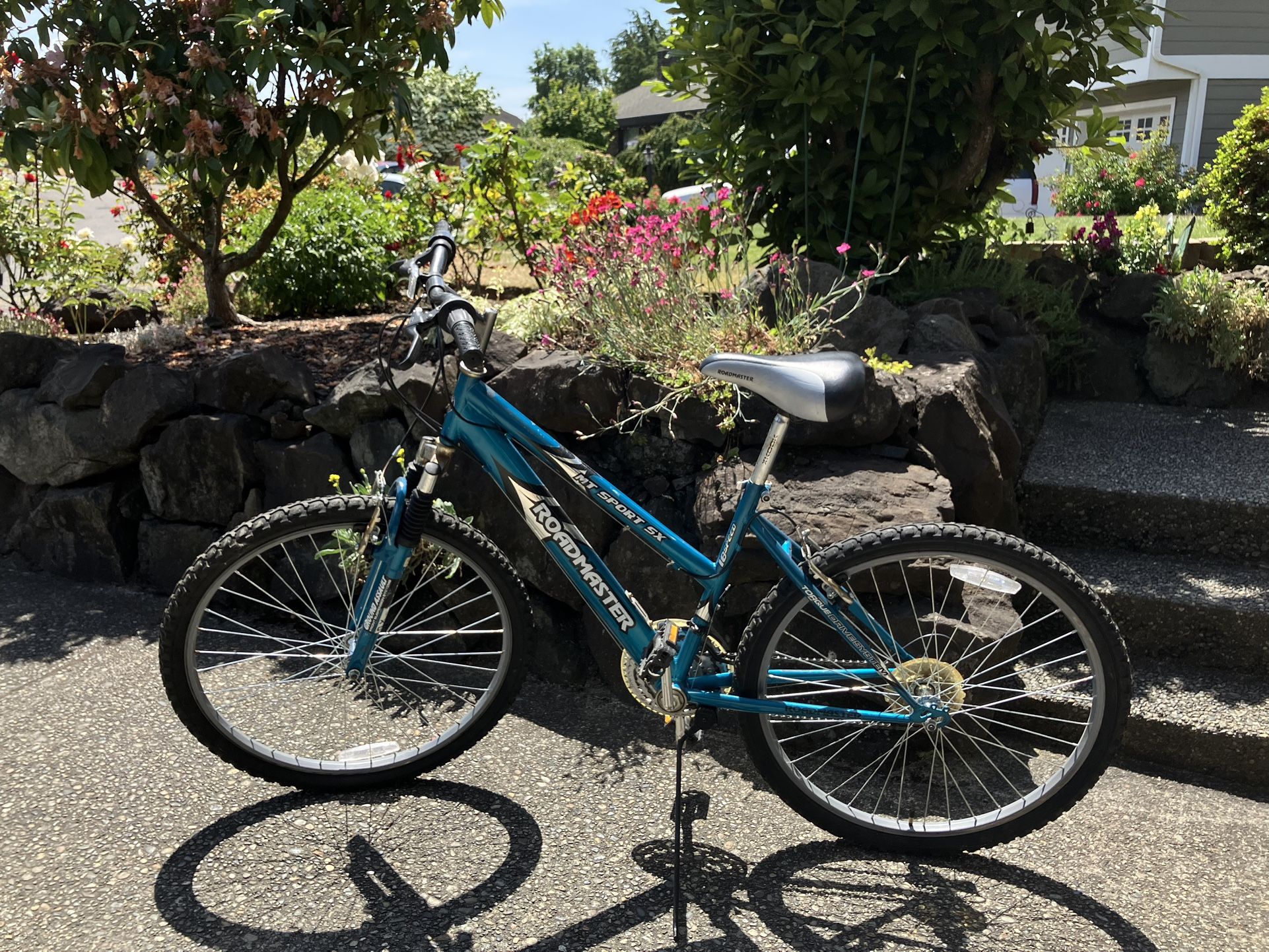 Mountain Bike