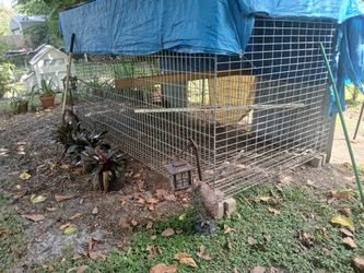 Xl Cage