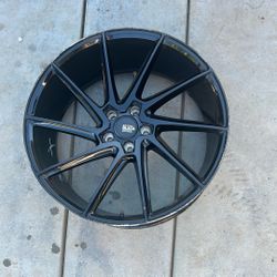 Savini Black Di Forza 100 OBO 
