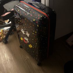 Checked Large Luggage