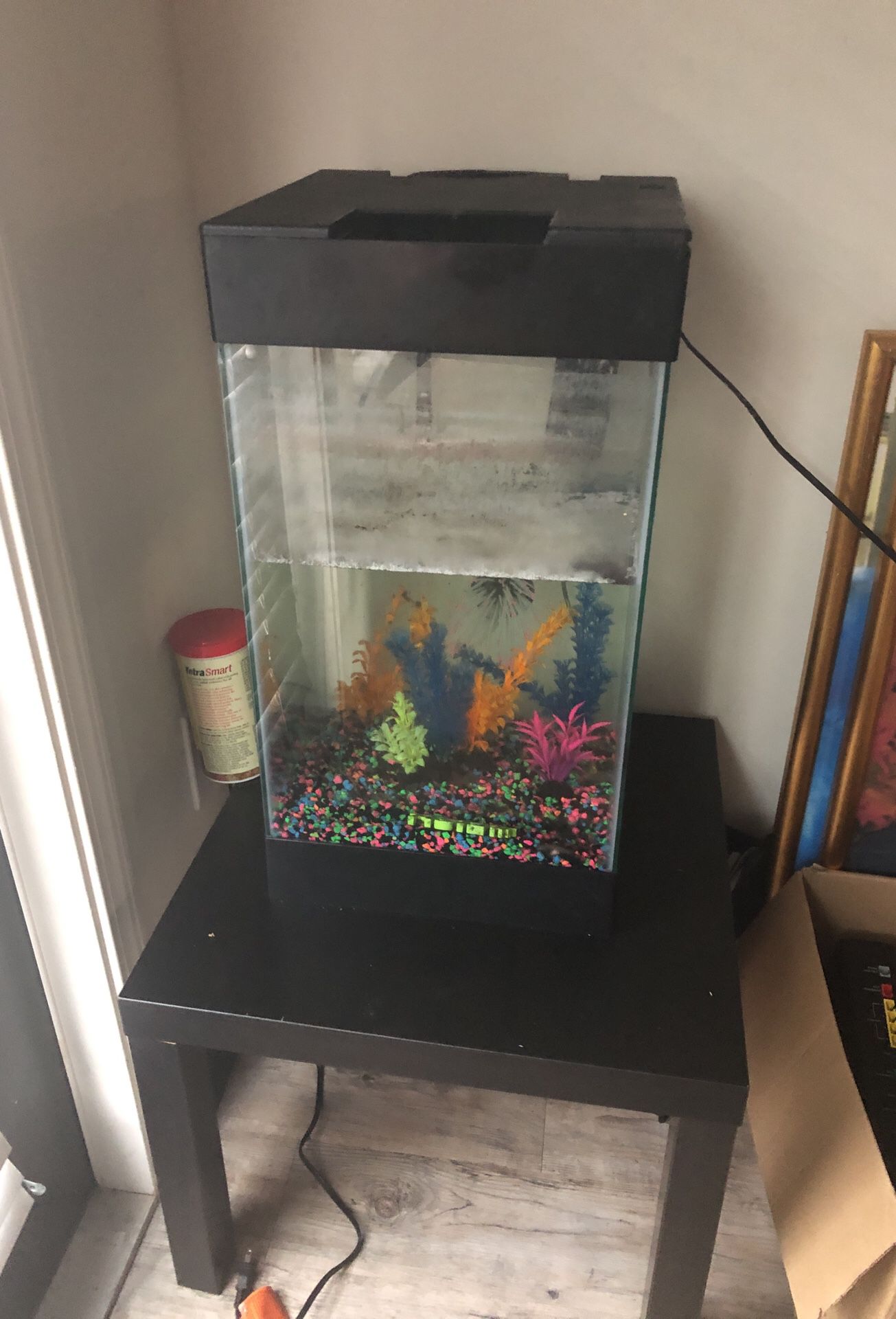 Fish tank filter and items inside
