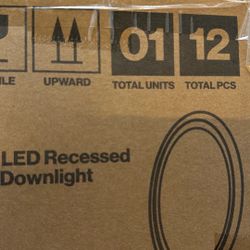 5/6” LED Recessed Disk Downlight