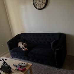 Black Fancy Couch 