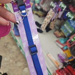 Cat collar
